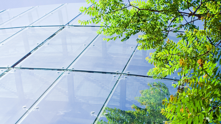 Whats Behind the Push for Stakeholder Capitalism